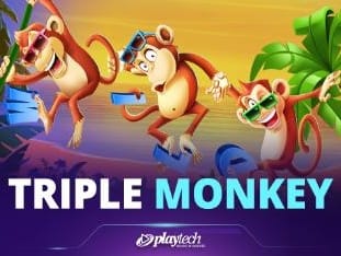 Triple Monkey (1) banner